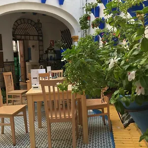 Seneca Córdoba