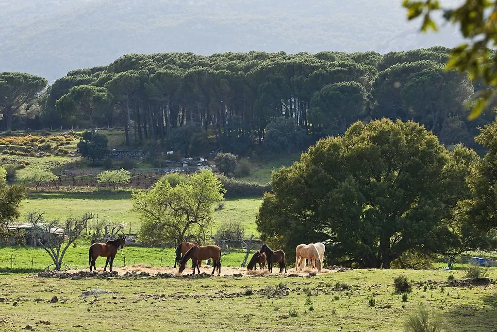 Farm stay Tambor Del Llano Villa Grazalema Spain
