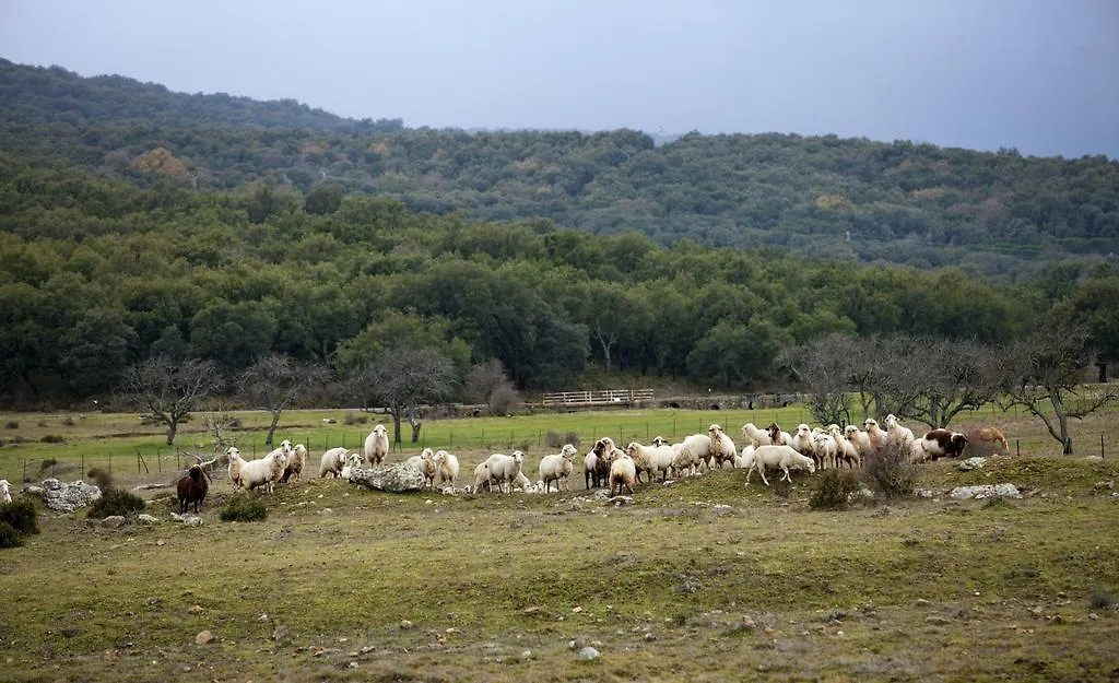 Farm stay Tambor Del Llano Villa Grazalema