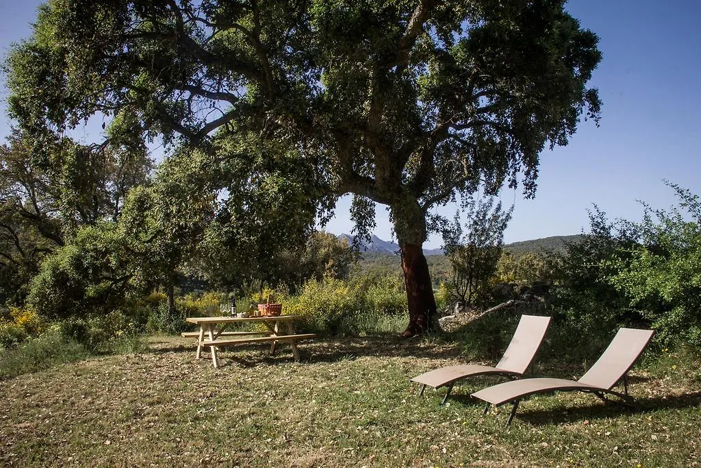 Tambor Del Llano Villa Grazalema Farm stay